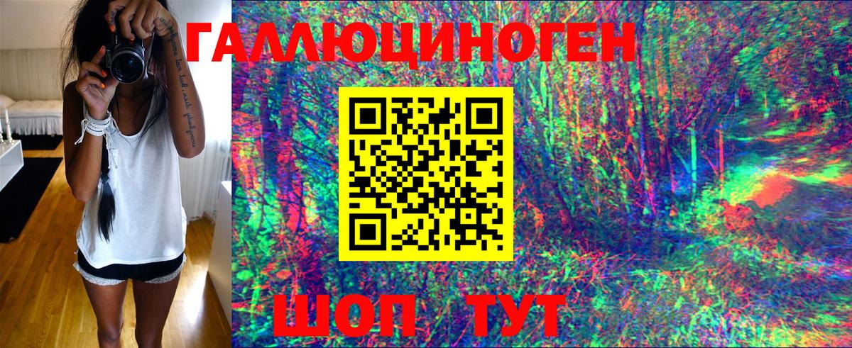 Артём  Псилоцибиновые грибы ЛСД  Вход с VPN  Галлюциногенные грибы мухоморы 